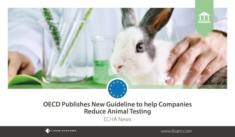 OECD veröffentlicht Richtlinie zur Reduzierung von Tierversuchen